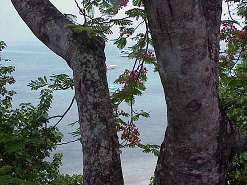 Harbour Island