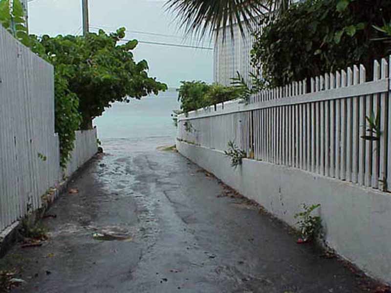 Harbor Island